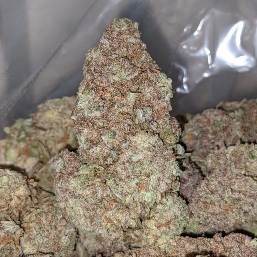 PURPLE POISON 2 I Purple Poison