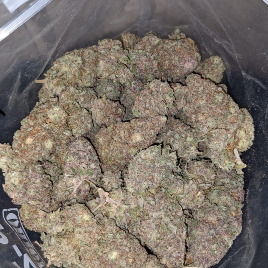 PURPLE POISON 3 I Purple Poison