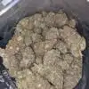 Purple Poison