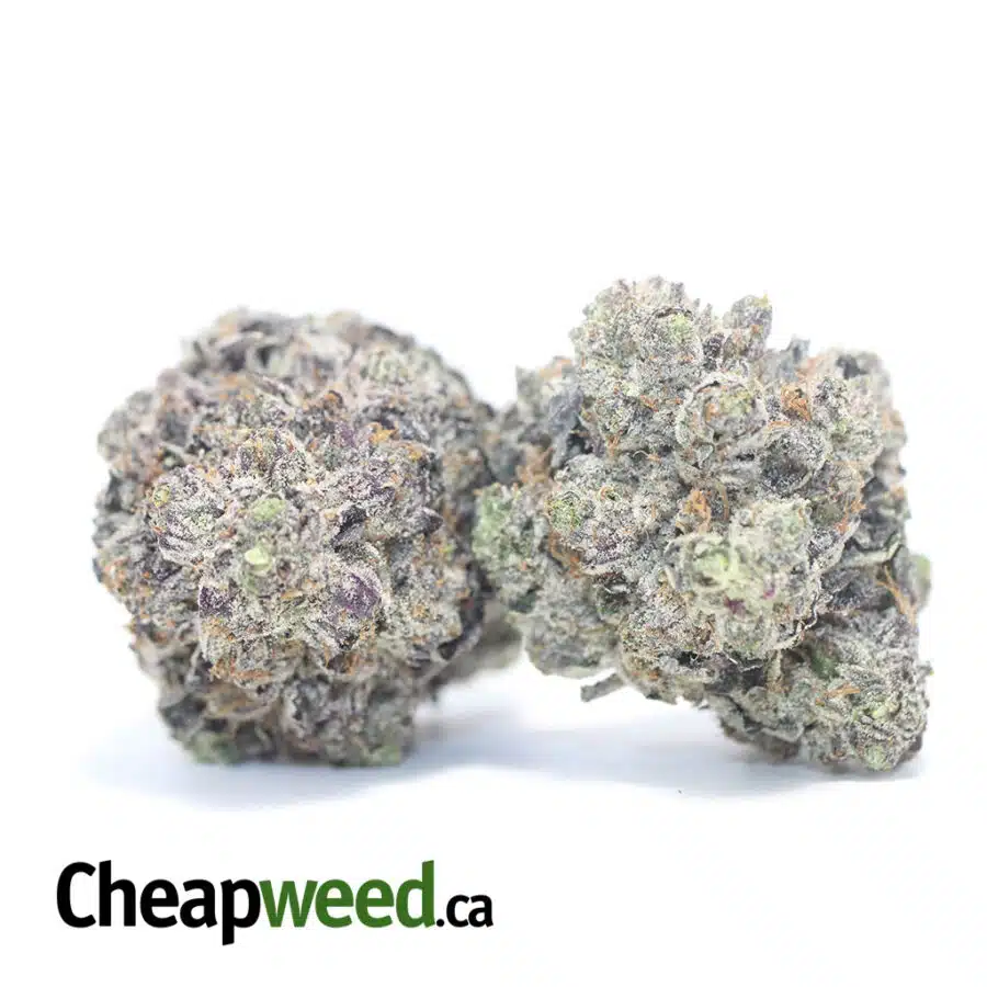 Alternative view of Purple Rockstar AAAA+