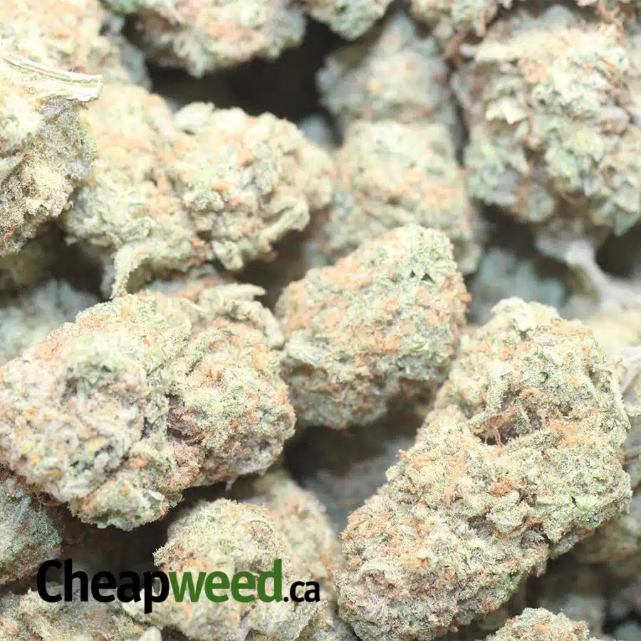SB LEM 1 I Strawberry Lemonade