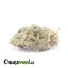 Sour Diesel - *Deal Of The Day*