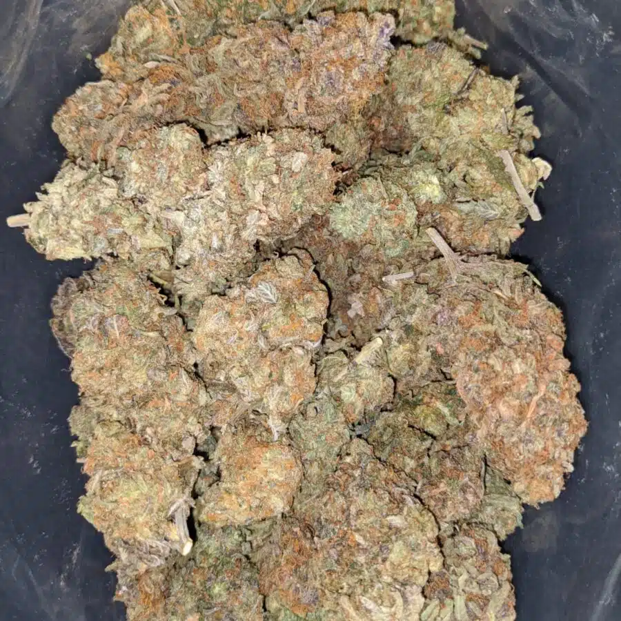 STRAWBERRY JERRY DEAL OF THE DAY 1 I Strawberry Jerry - *Deal Of The Day*