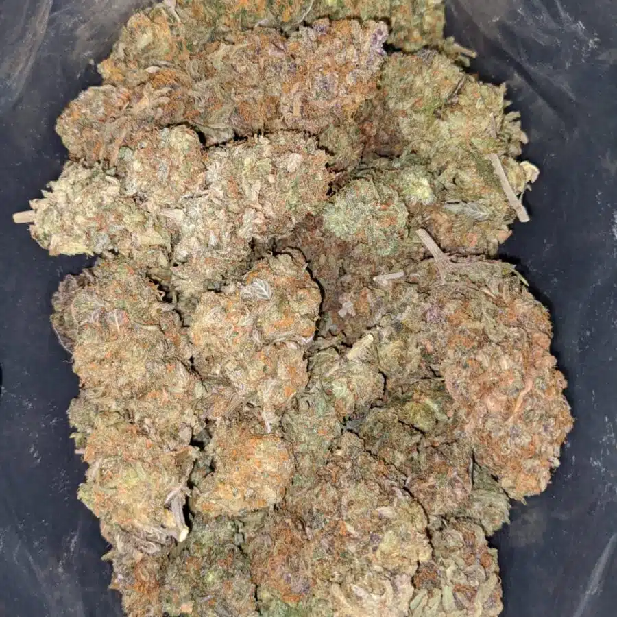 Strawberry Jerry - *Deal Of The Day*