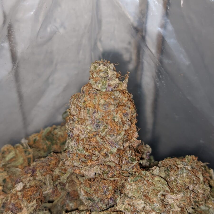 STRAWBERRY JERRY DEAL OF THE DAY 3 I Strawberry Jerry - *Deal Of The Day*