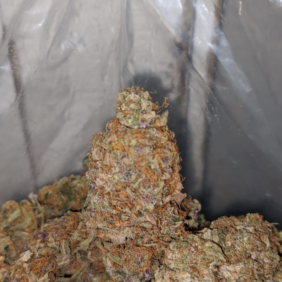 STRAWBERRY JERRY DEAL OF THE DAY 4 I Strawberry Jerry - *Deal Of The Day*