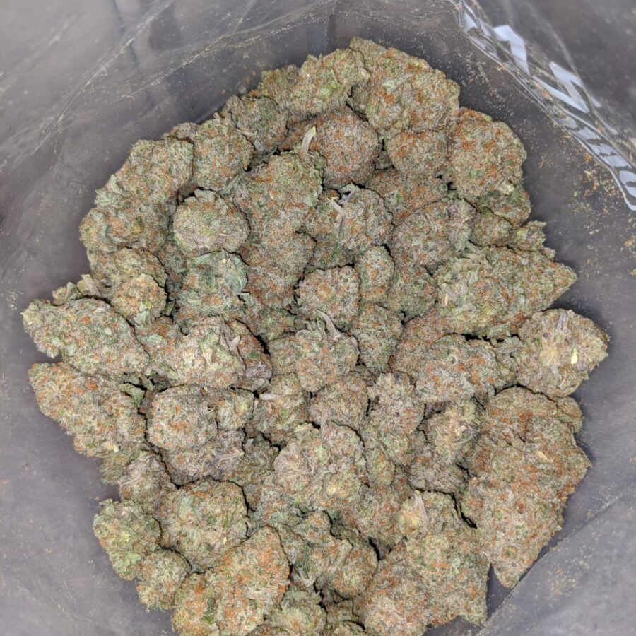 Starburst 4 I Starlord