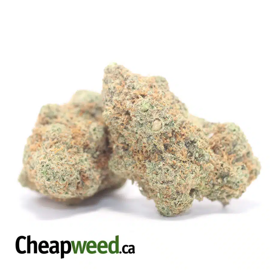 Alternative view of Tony's Greasy Pink - *Deal Of The Day*