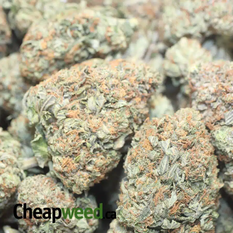 TONY HIGH THC INDICA 1 I Tony's High THC Indica