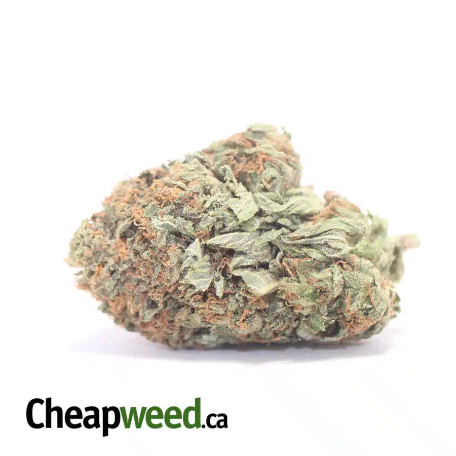 Tony's High THC Indica