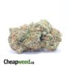 Select White Kush