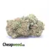 Select White Kush