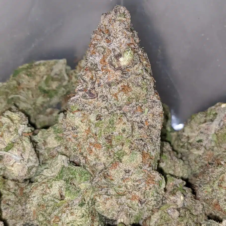 Alternative view of Twisted Citrus