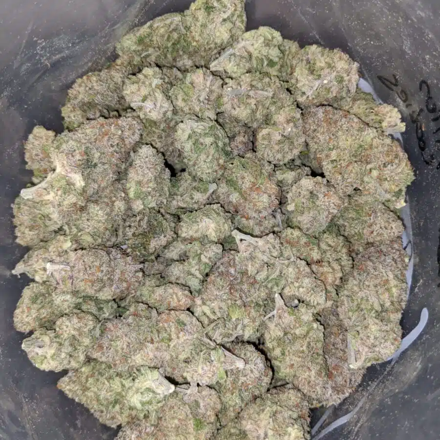Twisted Citrus