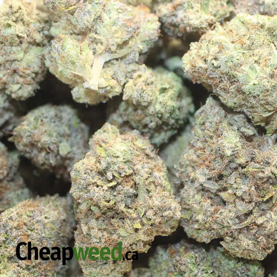 WHITE MOONROCK 1 I White Moonrocks