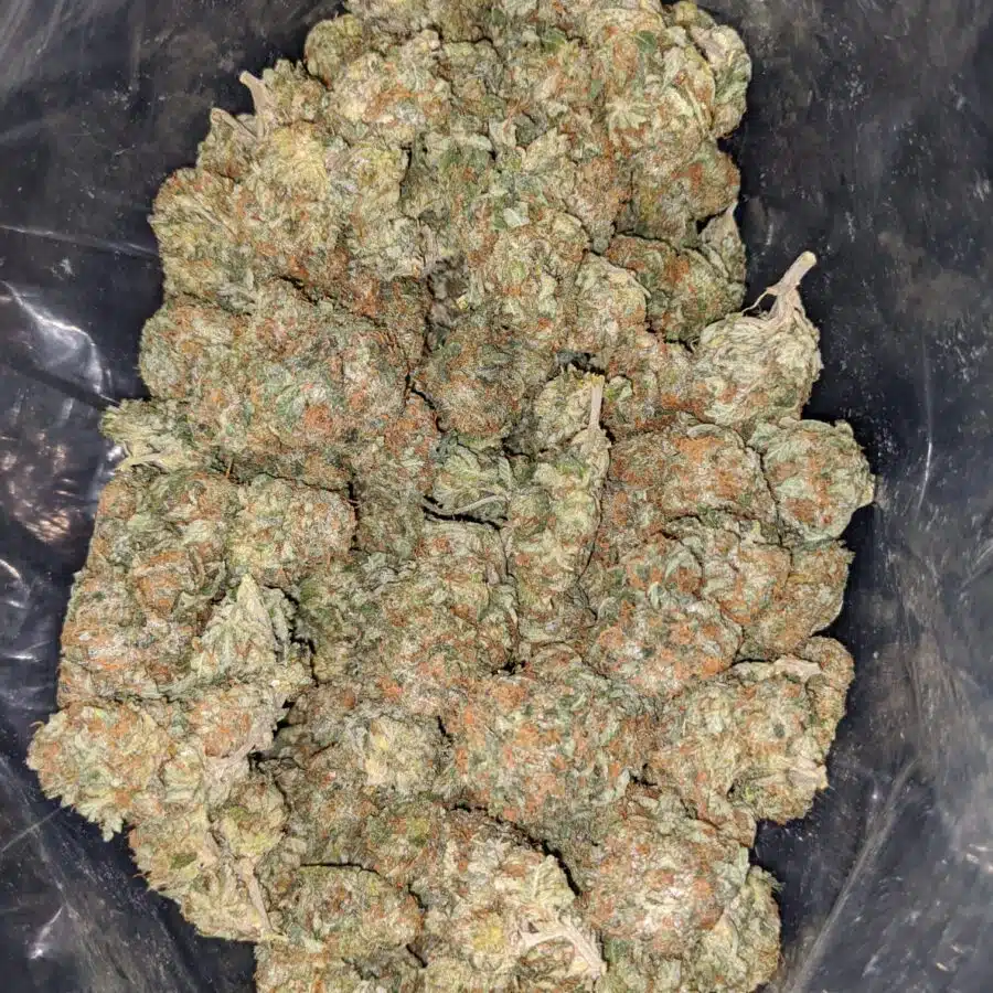 aurora 1 I $ 69 Oz - Aurora
