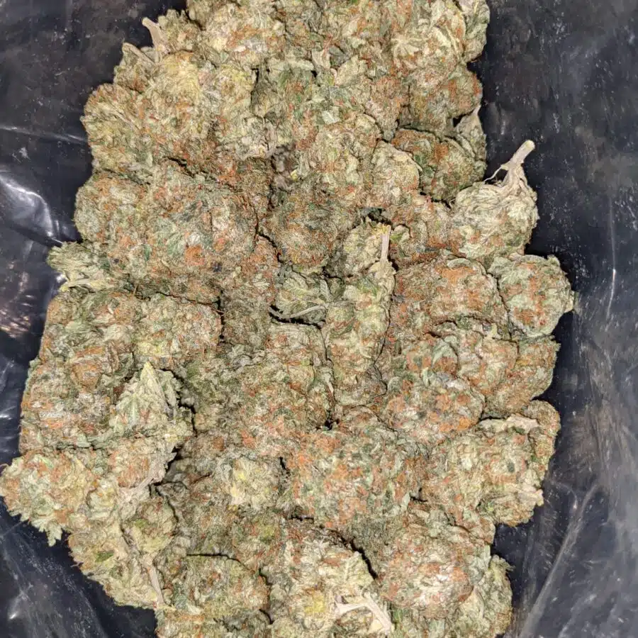 aurora 2 I $ 69 Oz - Aurora