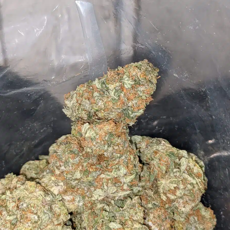 aurora 3 I $ 69 Oz - Aurora