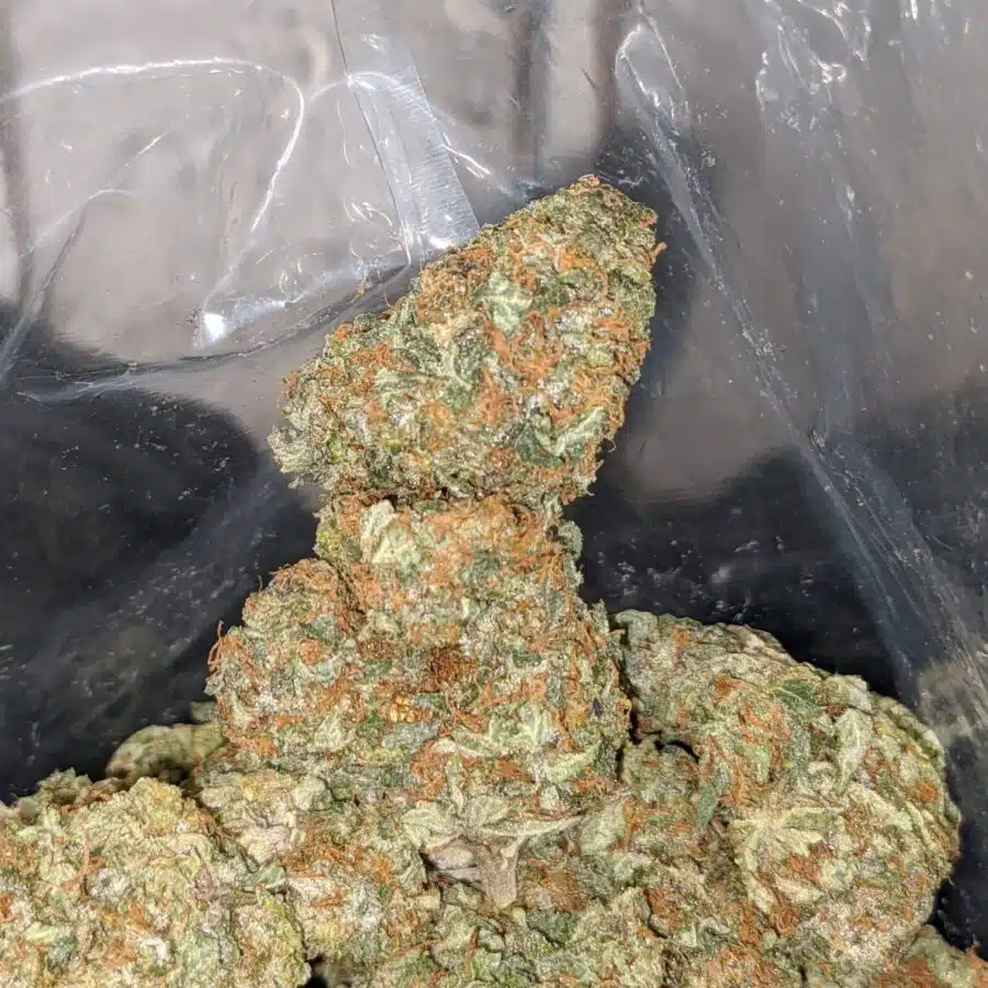 aurora 4 I $ 69 Oz - Aurora