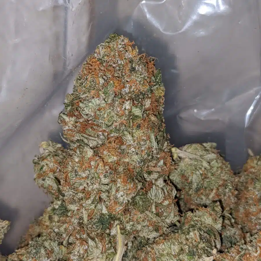 bubba kush 1 I Bubba Kush