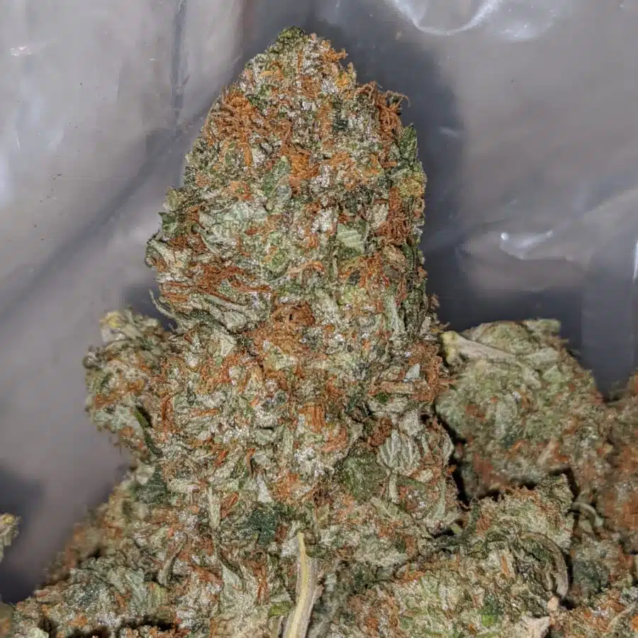 bubba kush 2 I Bubba Kush