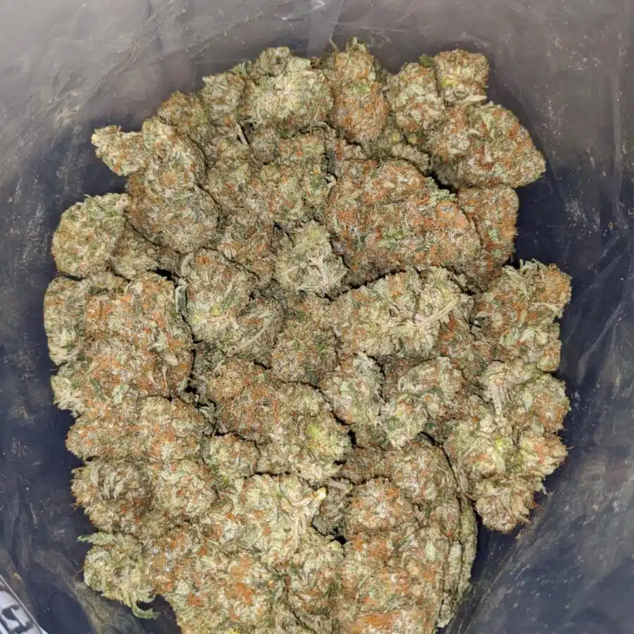 Bubba Kush
