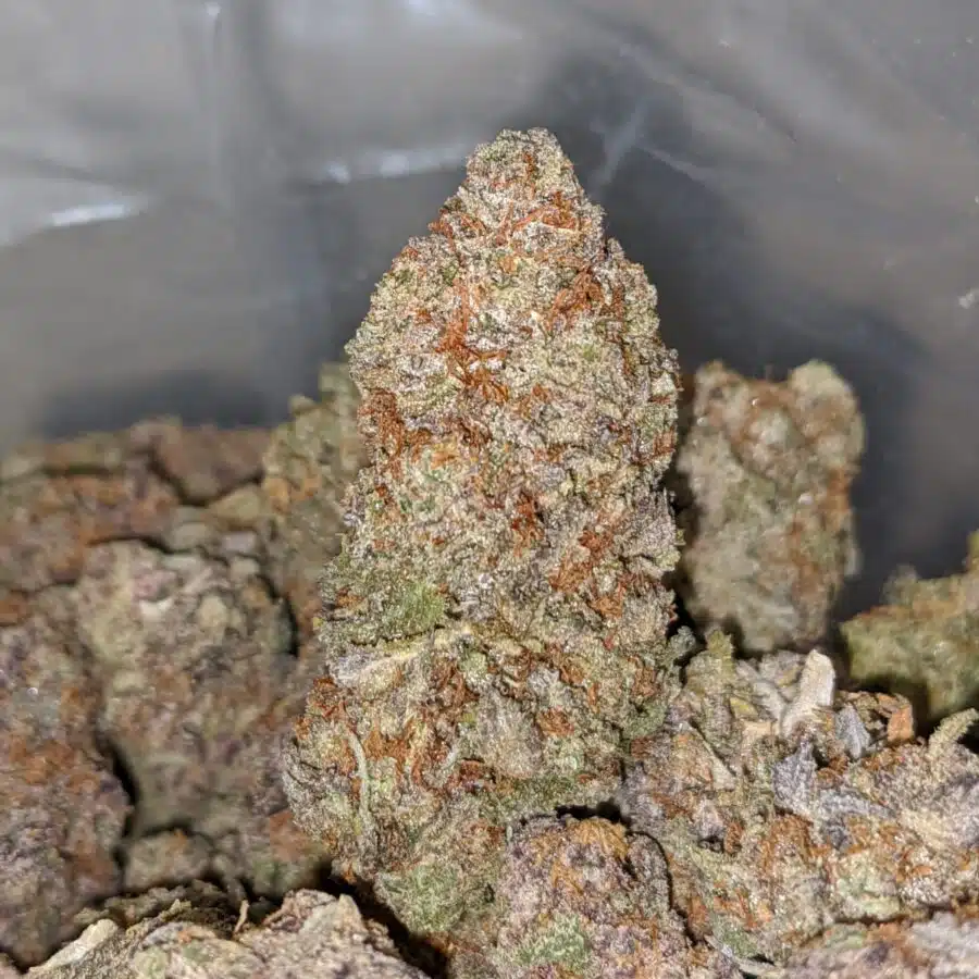 candyland 1 I Candyland