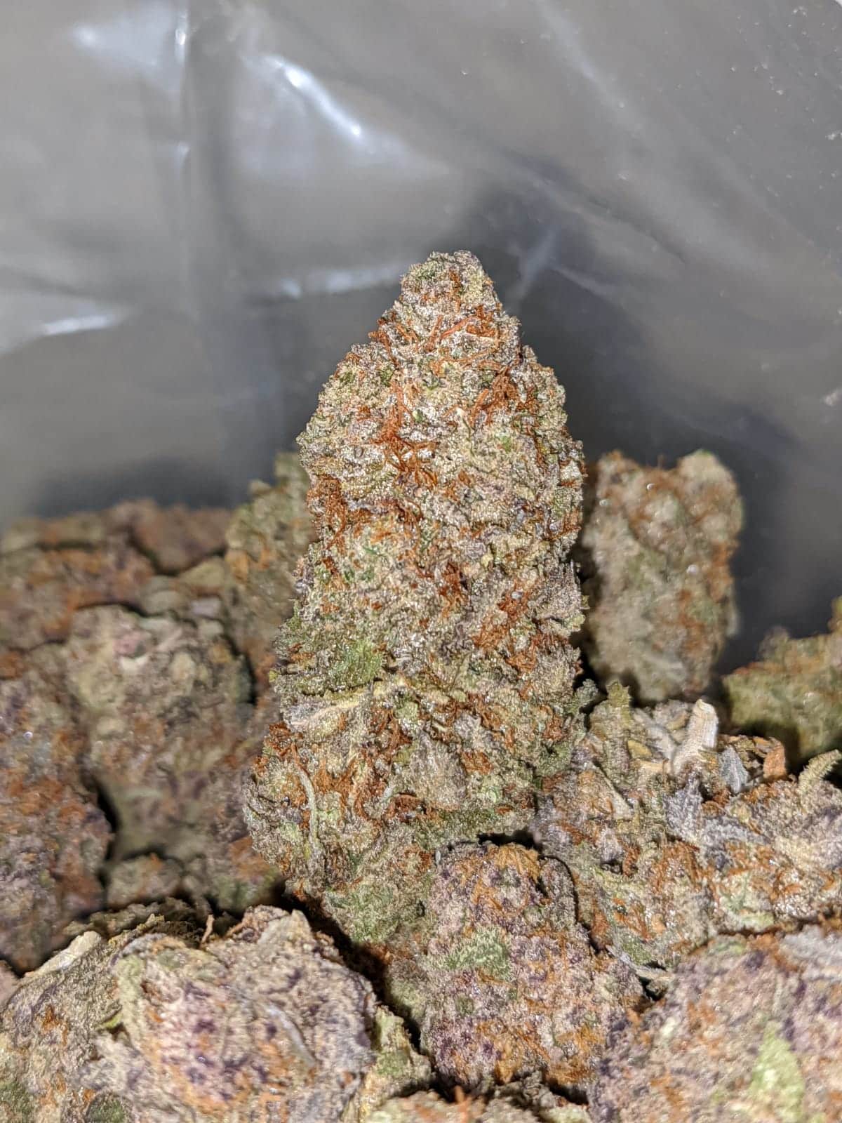 Candyland - Image 3