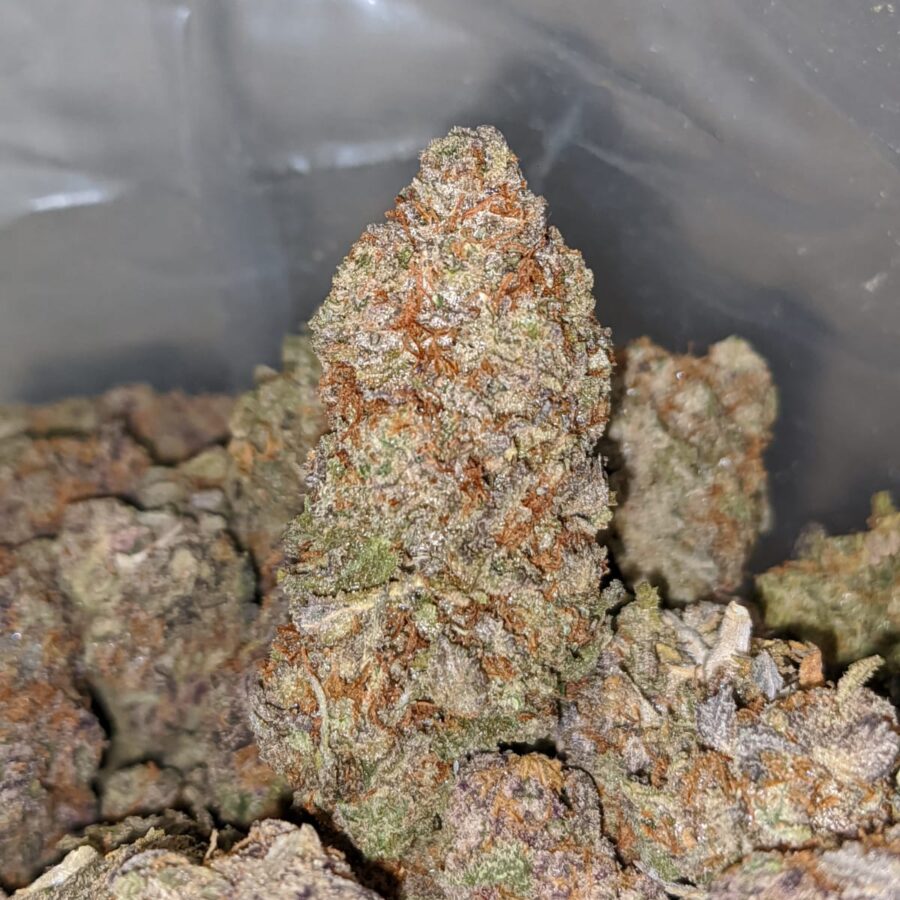 Candyland - Image 2