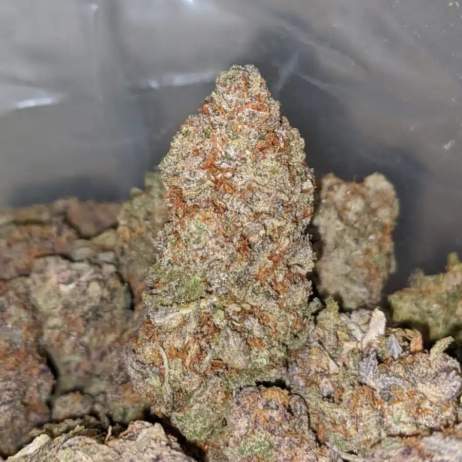 candyland 2 I Candyland