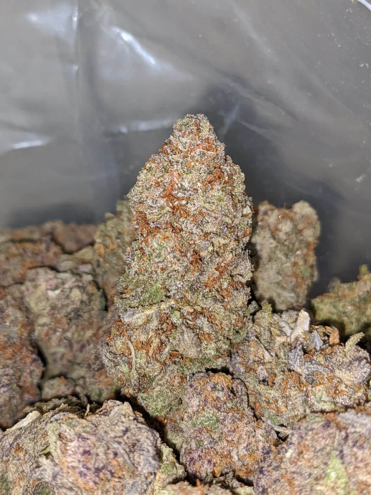 Candyland - Image 2