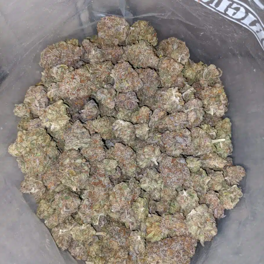 candyland 3 I Candyland