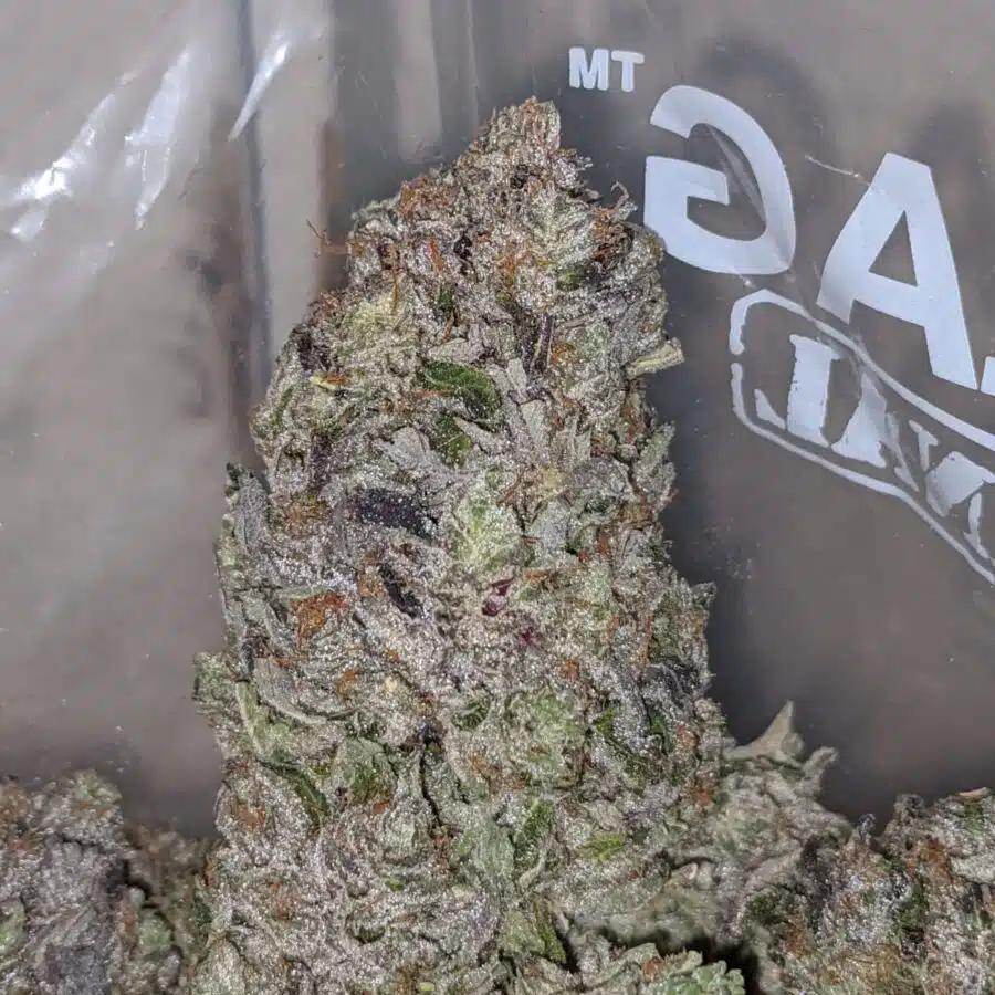 darth vader og aaaa 1 I Darth Vader OG AAAA+