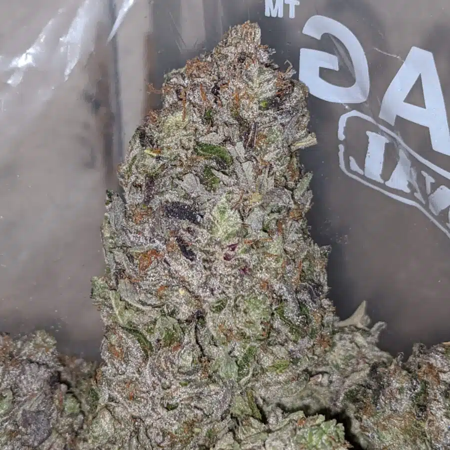 darth vader og aaaa 2 I Darth Vader OG AAAA+