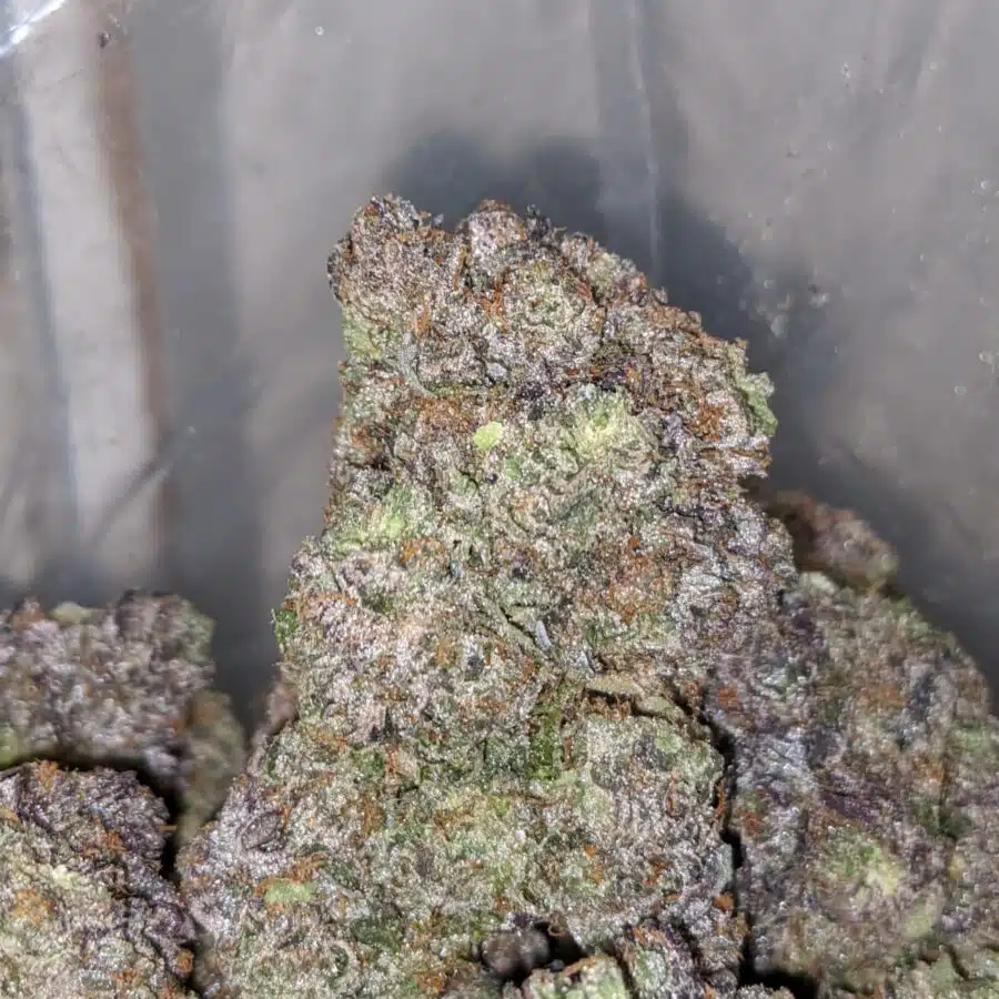 death bubba aaaa 2 I Green Valley Death Bubba