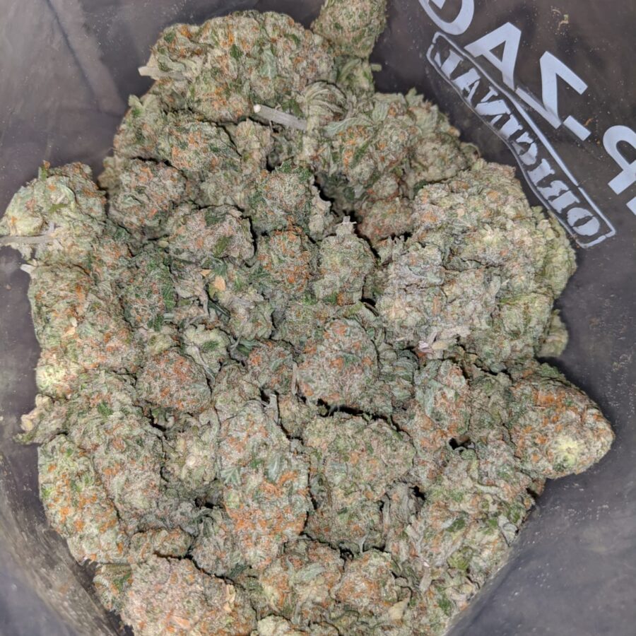 Fruit Loops - *Deal Of The Day*