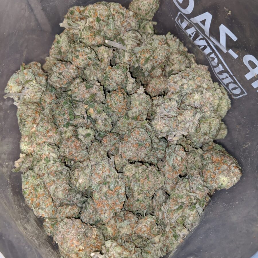 Fruit Loops - *Deal Of The Day* - Image 3