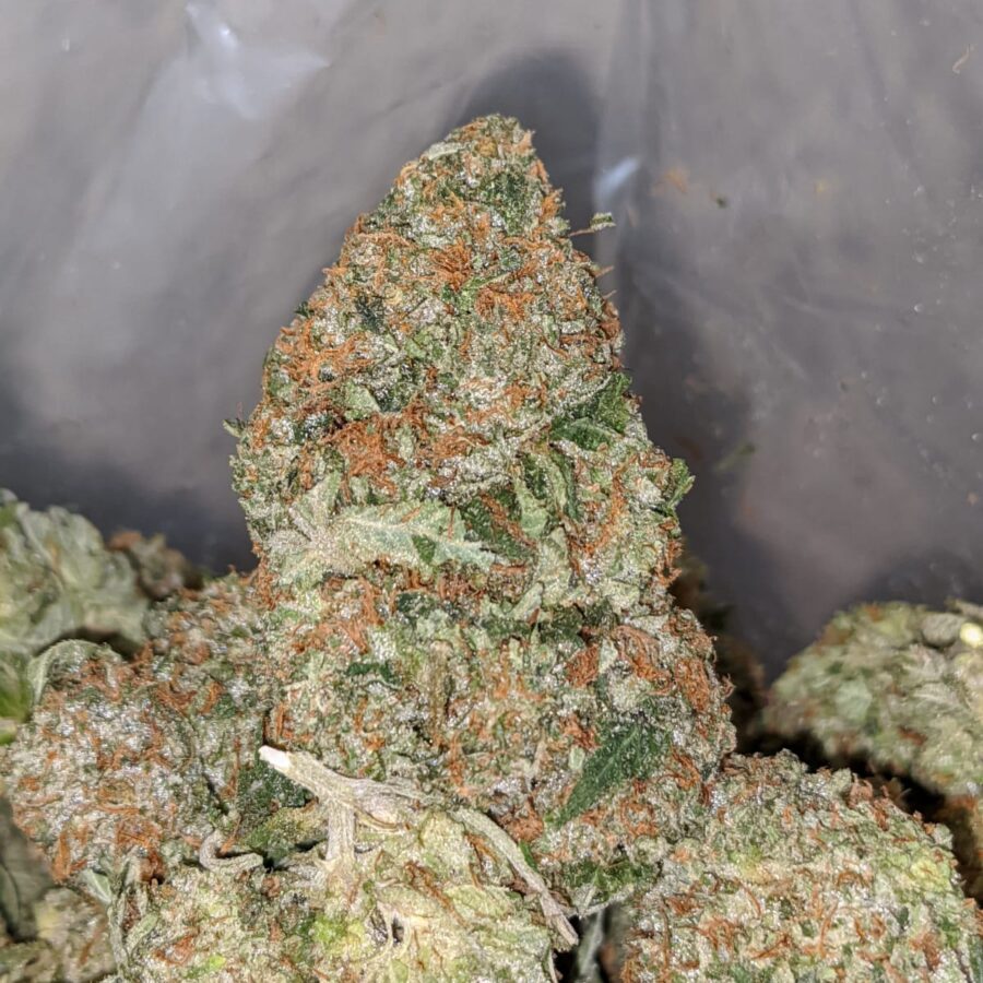 Fruit Loops - *Deal Of The Day* - Image 5