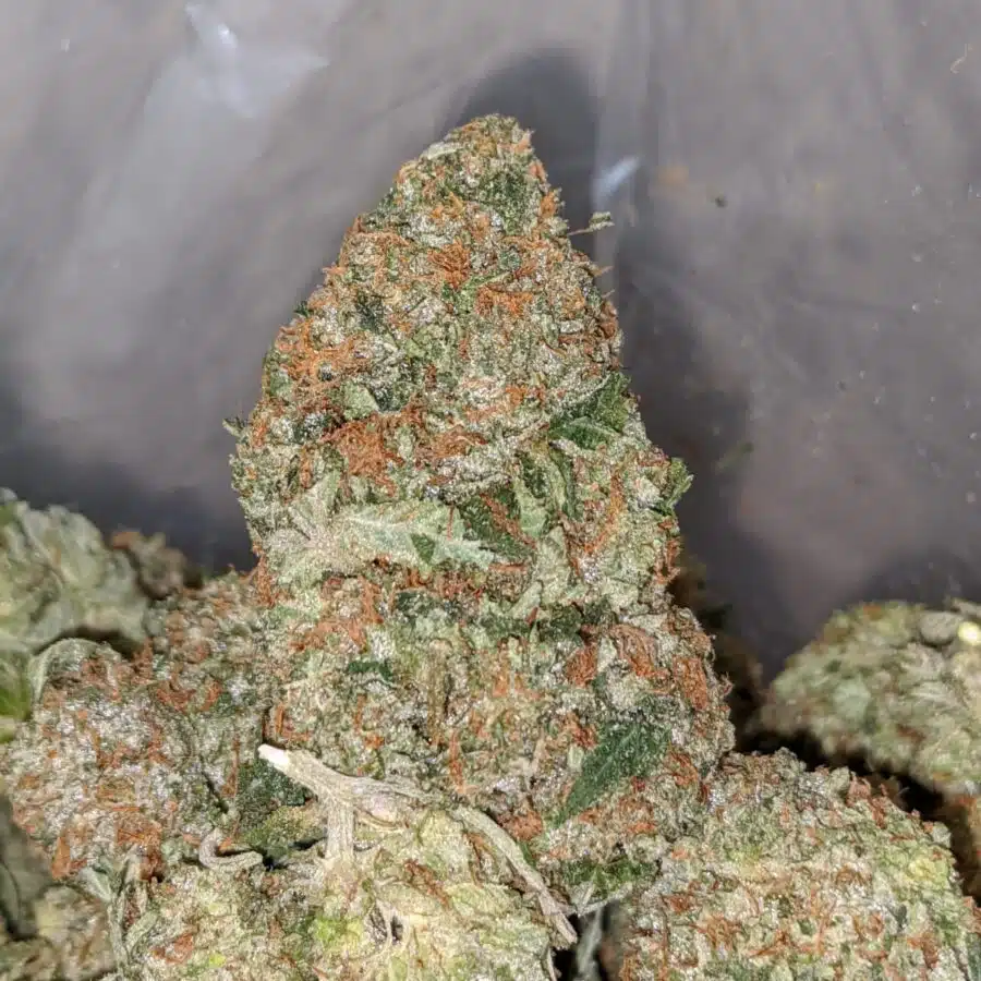 gangster kush 2 I Fruit Loops - *Deal Of The Day*