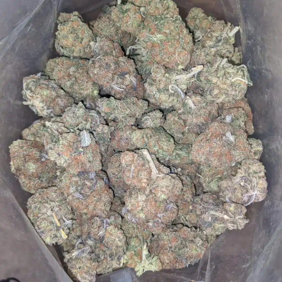 ghost og 3 I Ghost OG