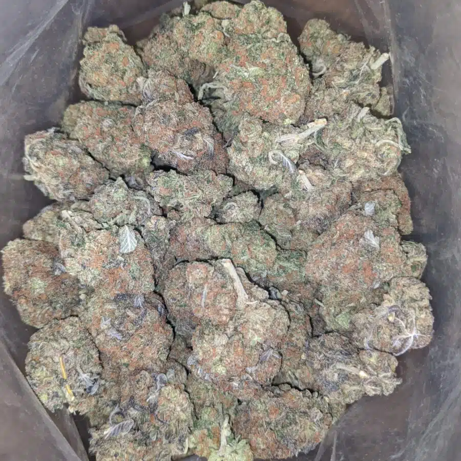 ghost og 4 I Ghost OG