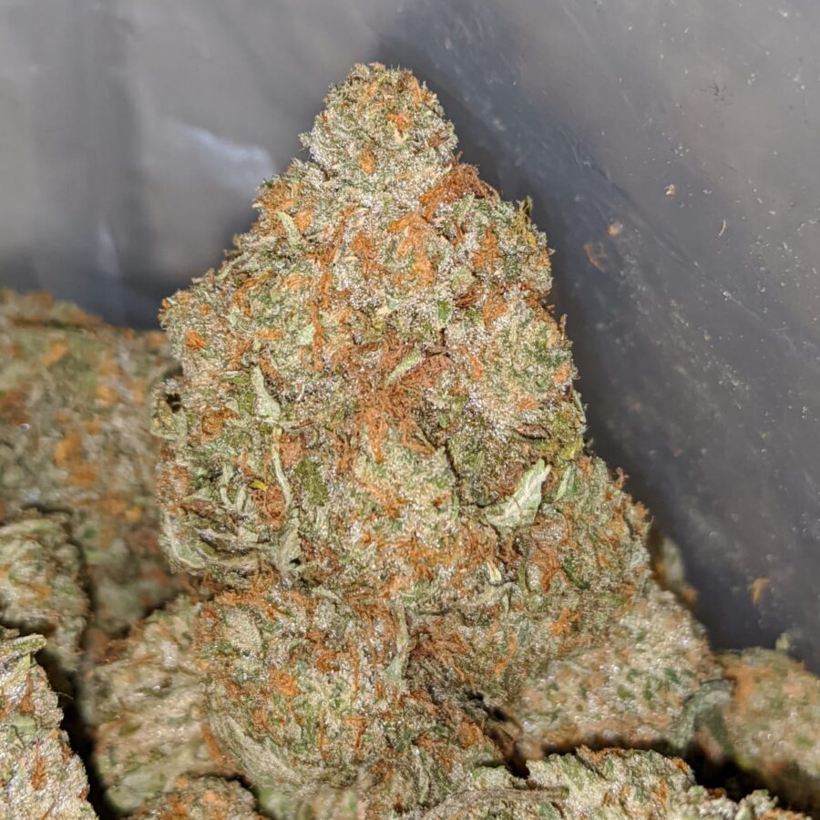 jetfuel x wedding 1 I Jetfuel x Wedding Cake