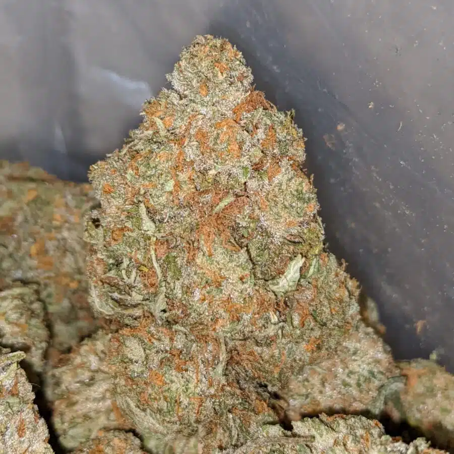 jetfuel x wedding 1 I Jetfuel x Wedding Cake