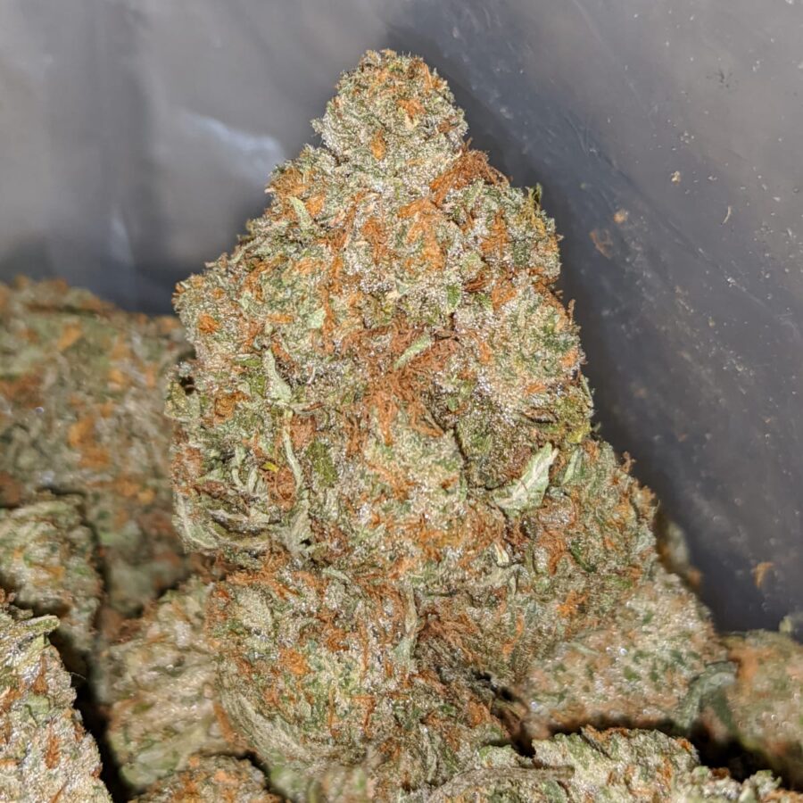 jetfuel x wedding 2 I Jetfuel x Wedding Cake
