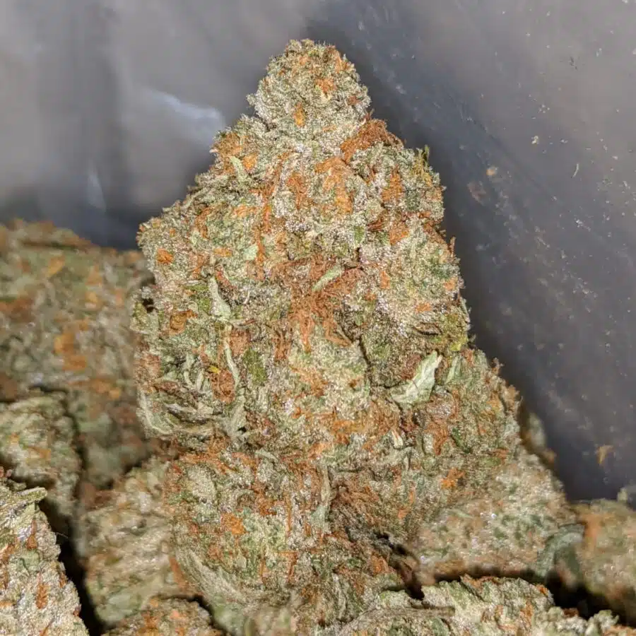 jetfuel x wedding 2 I Jetfuel x Wedding Cake