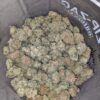 $62 Oz - Grapefruit