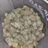 $62 Oz - Grapefruit