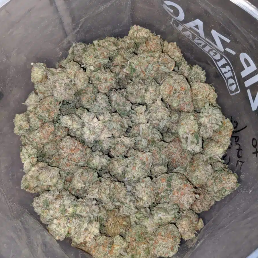 jungle cake 4 I $62 Oz - Grapefruit