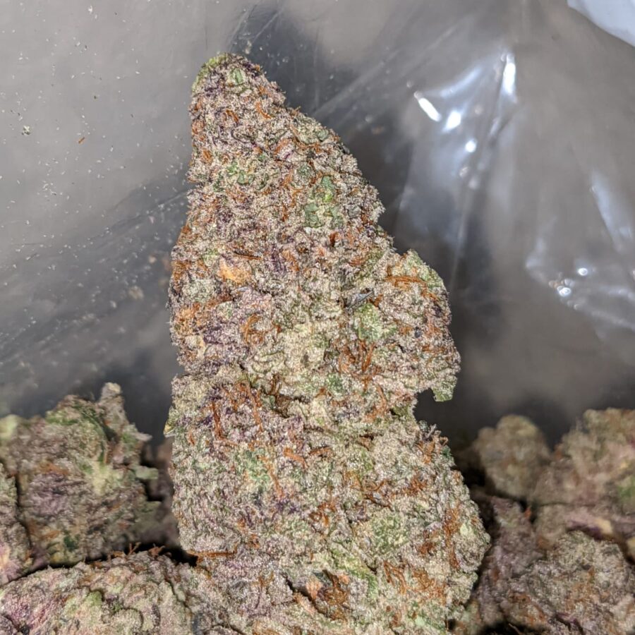 la kush pop 1 I LA Kush Pops