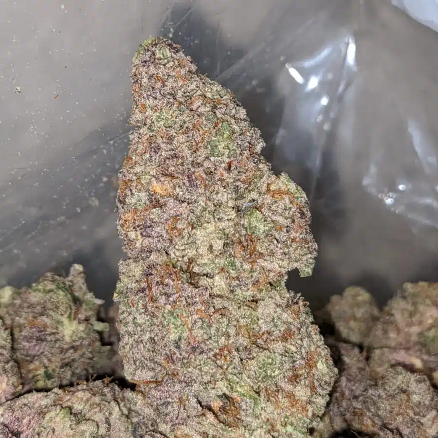 la kush pop 1 I LA Kush Pops